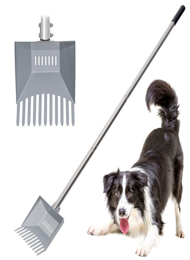 CKLT Heavy Duty Pooper Scooper 66in Tempered Spring Steel Scoop Long Stainless Steel Handle Dog Pooper Scooper for Large Dogs Outdoor Pet Waste Removal Shovel - Image 1